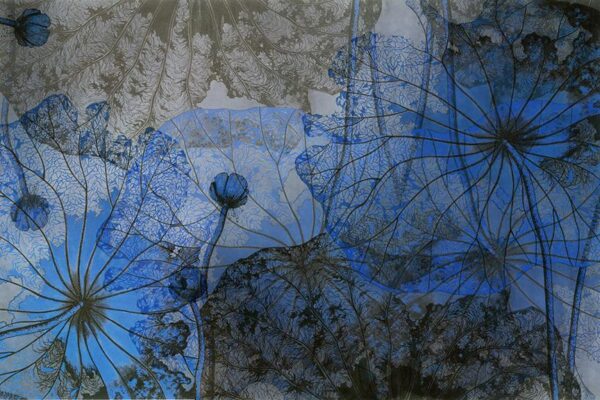 blue - front