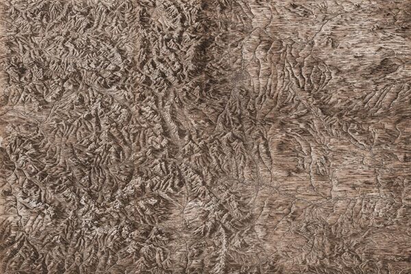 Colorado Topography - Mural Wallpaper - Image 4