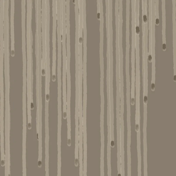 veil - front